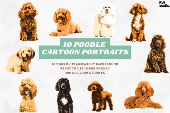 10 Poodle Cartoon Portraits Dog Breeds