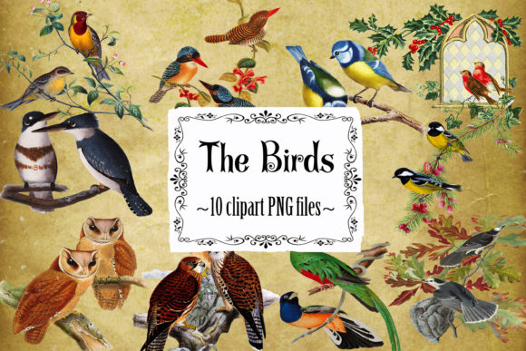 Birds Clipart: A Versatile Tool for Creative Projects and Design
