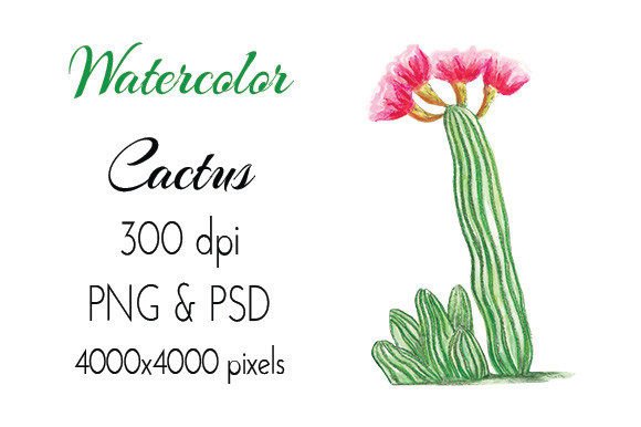 Hand Drawn Cactus with Pink Flowers and Heart Design: A Unique Digital Asset for Creative Projects