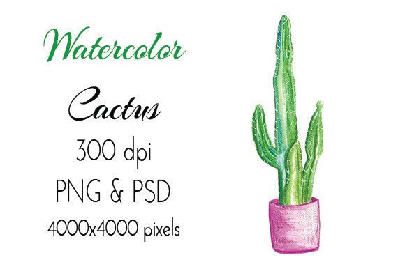 Hand Drawn Pot Plant Cactus PNG PSD